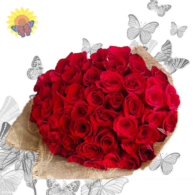 Rosas-50 - Imagen 3