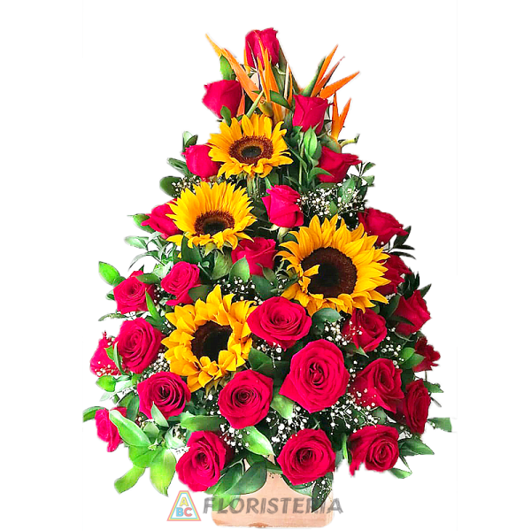 27 ROSAS