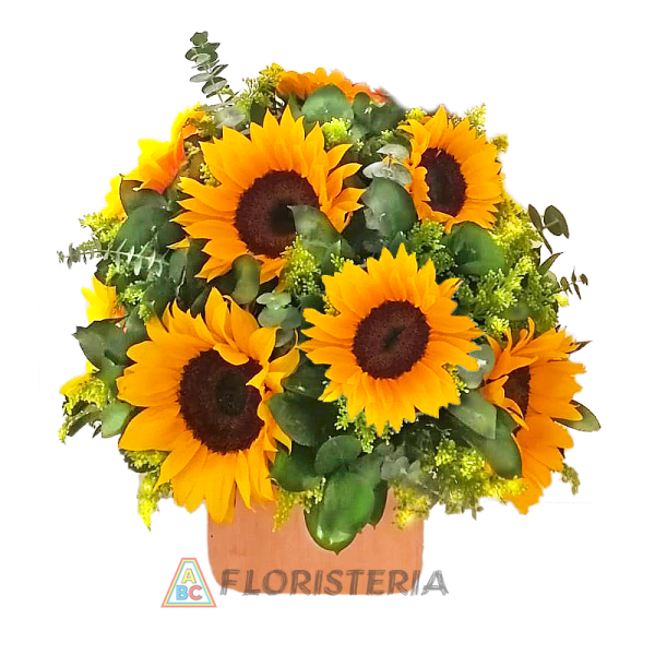 CAJA CON GIRASOLES MINI