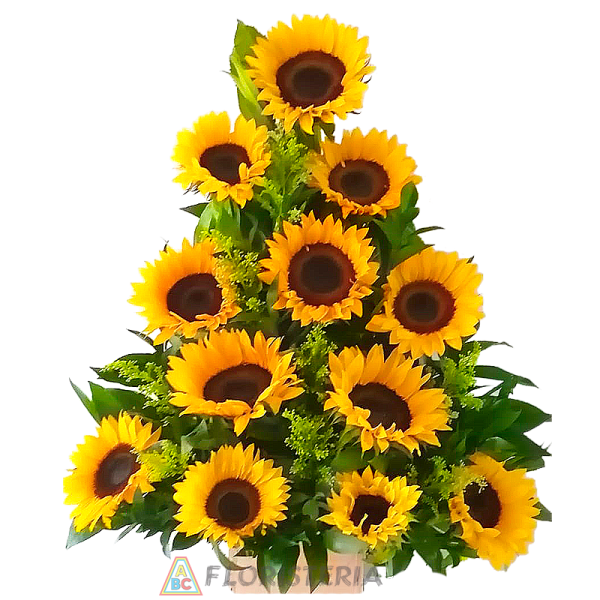 RAYITO DE SOL