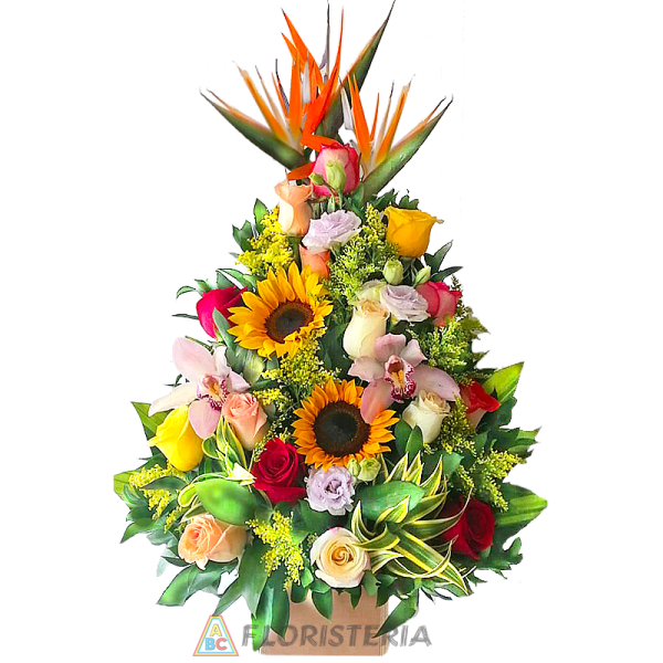 Rosas de Colores