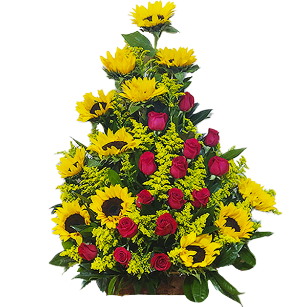 Triangulo de Amor 3