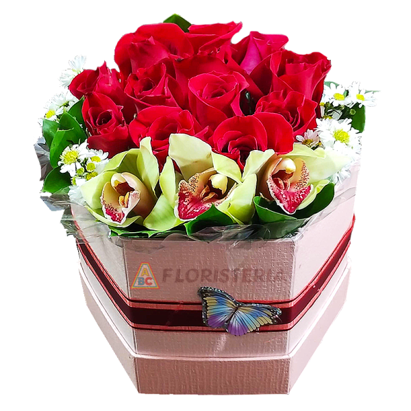 CAJA CARLOTA MINI