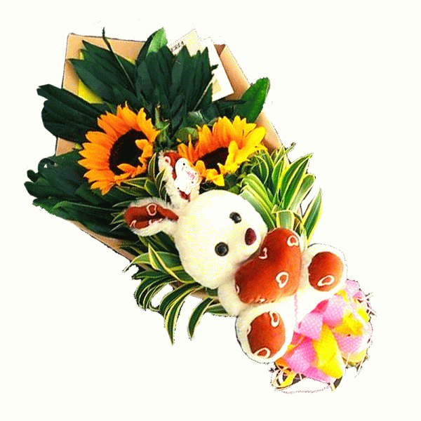 R40-Peluche