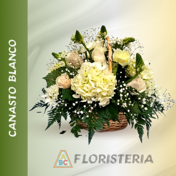 CANASTO BLANCO