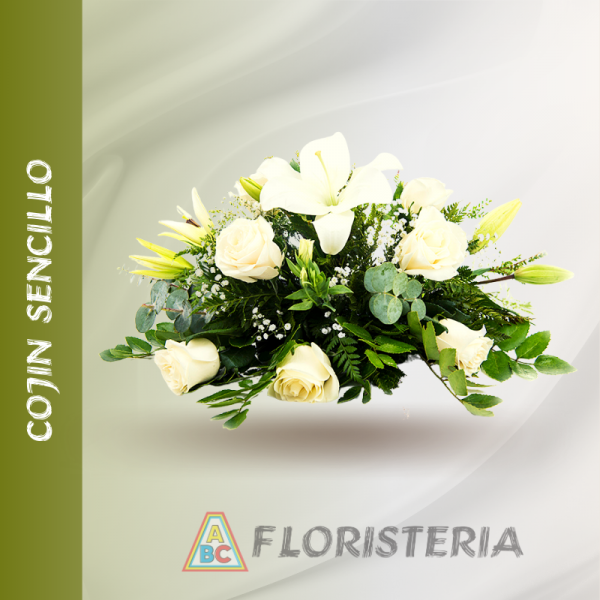 COJIN SENCILLO