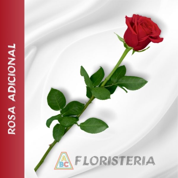 ROSA ADICIONAL