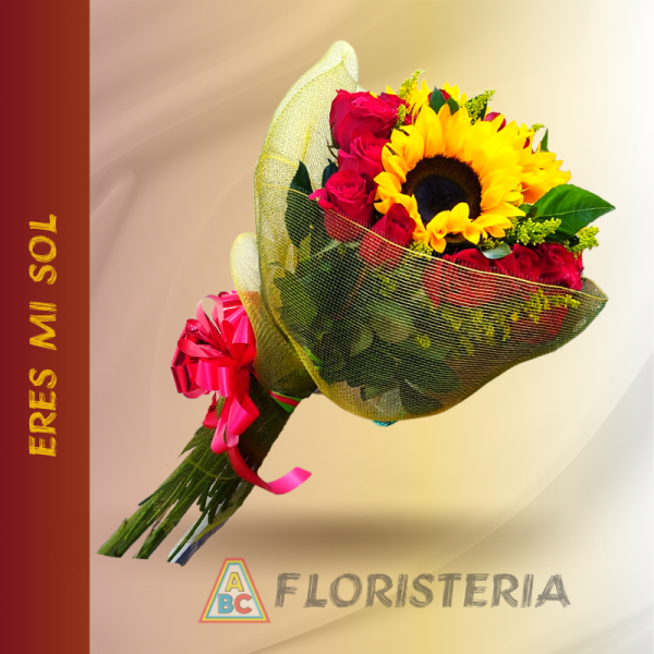 ERES MI SOL