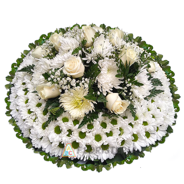 CORONA BLANCA