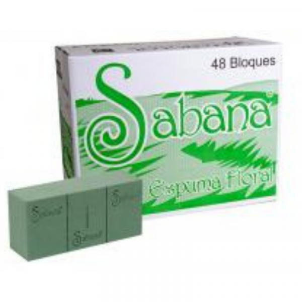 Oasis sencillo _ Sabana