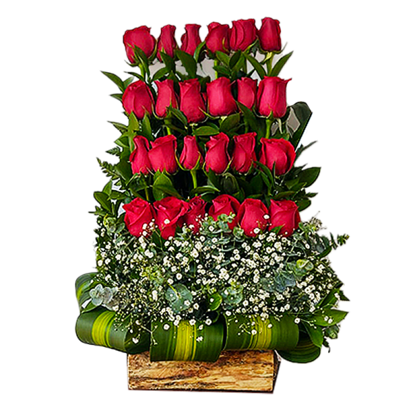 Bellas Rosas
