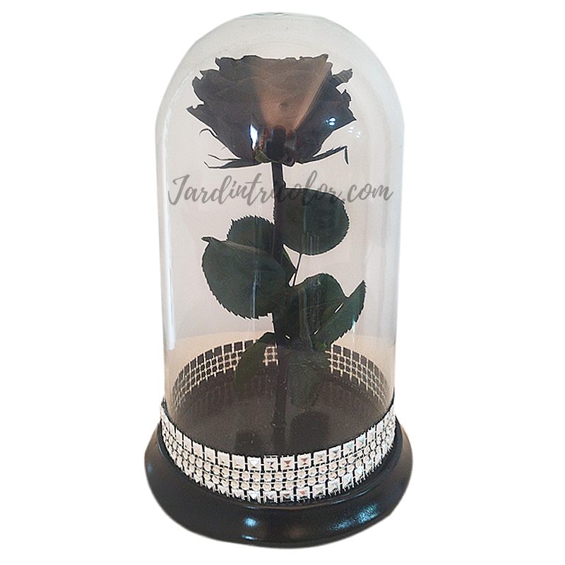 Rosa Preservada Negra 30 Cms