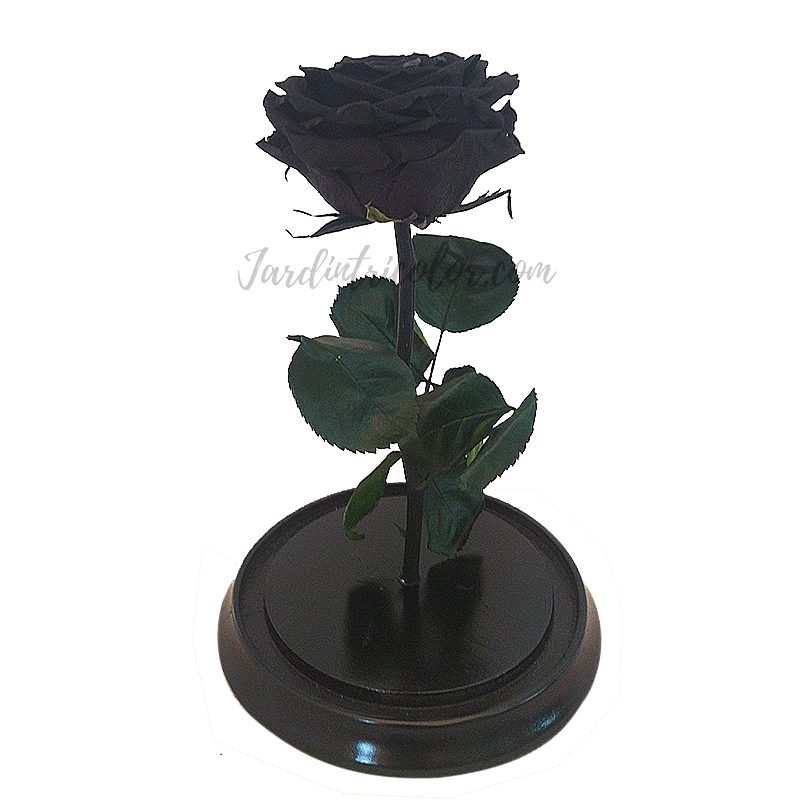 Rosa Preservada Negra 30 Cms - Imagen 2