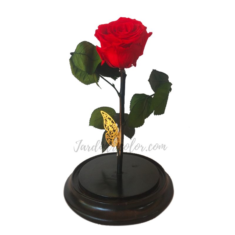 Rosa Preservada Roja 25 Cms - Imagen 2