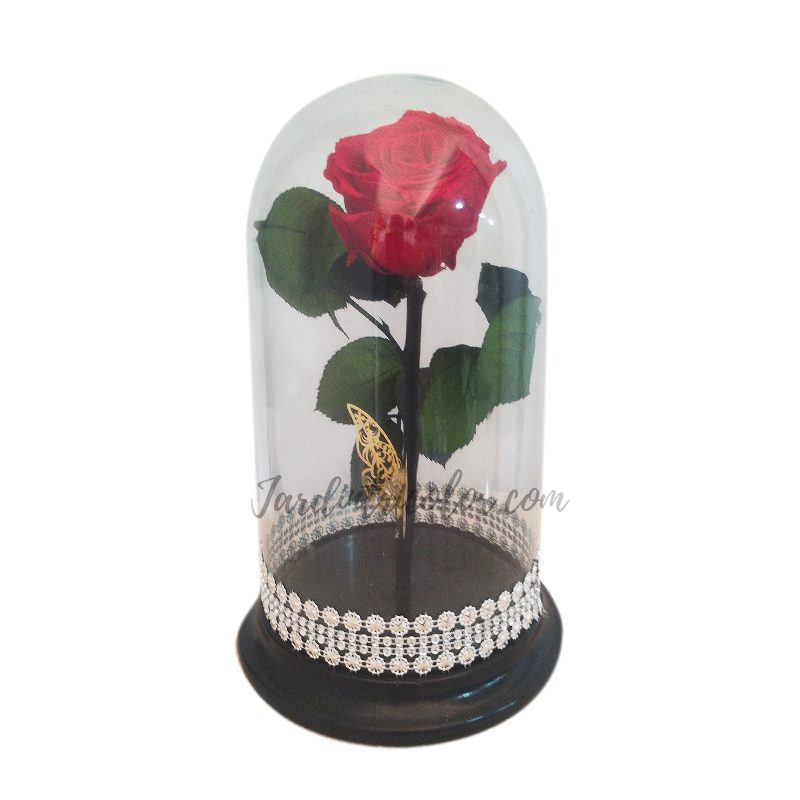 Rosa Preservada Roja 25 Cms