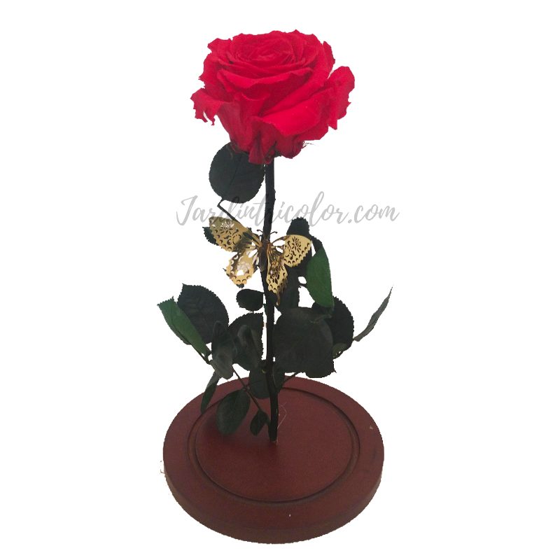 Rosa Preservada Roja 32 Cms - Imagen 2