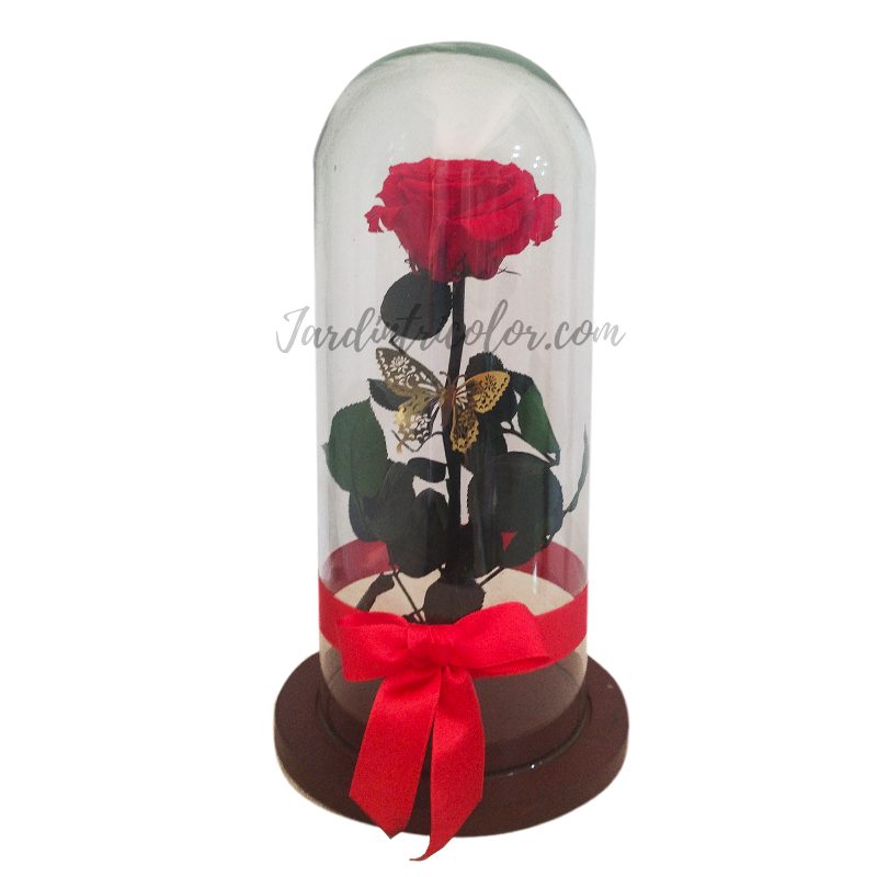 Rosa Preservada Roja 32 Cms