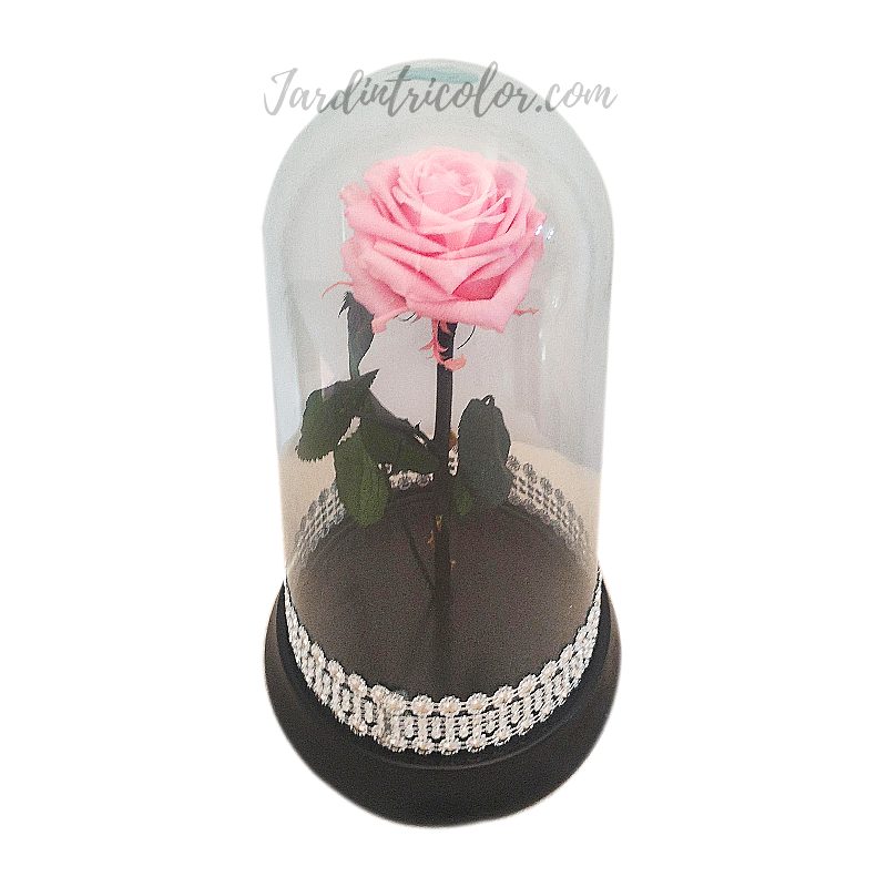 Rosa Preservada Rosada 25 Cms