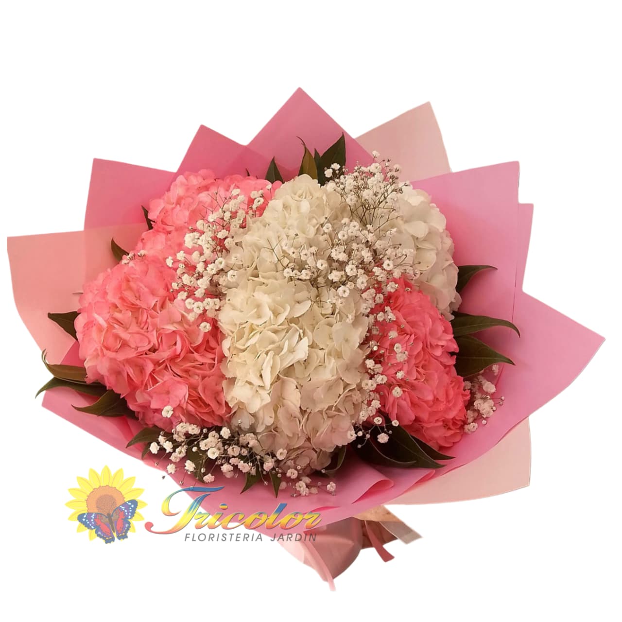 Nube Rosa