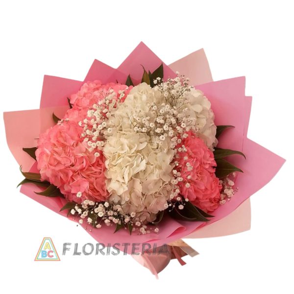 Nube Rosa