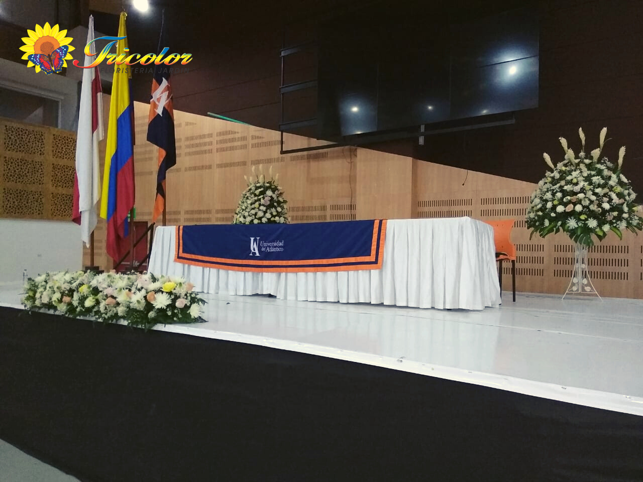 Paquete #3 - Imagen 5
